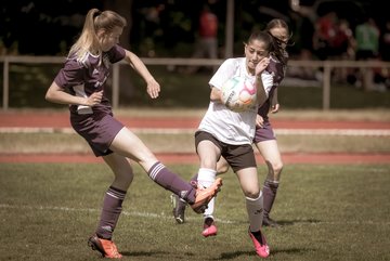 Bild 235 - wBJ VfL Pinneberg - Harksheide : Ergebnis: 2:1